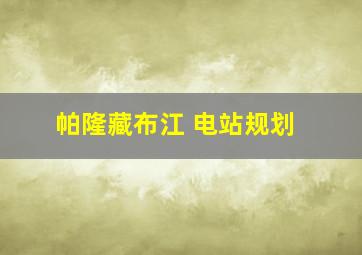 帕隆藏布江 电站规划